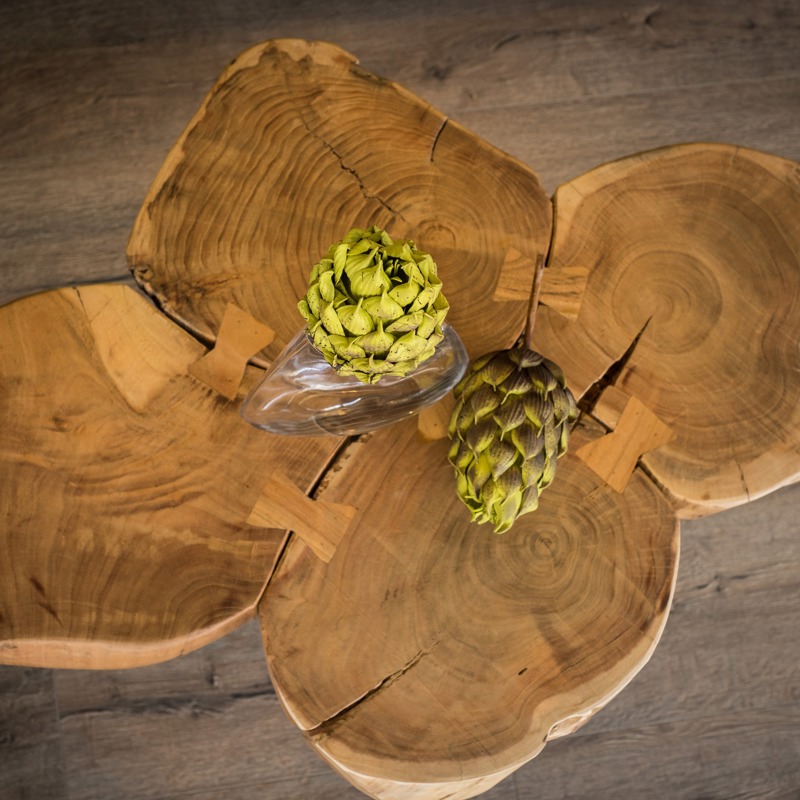 Organic shapes and natural textures