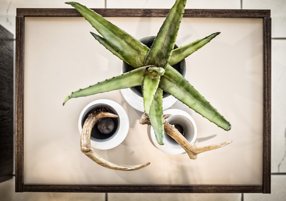 Accessori da giardino