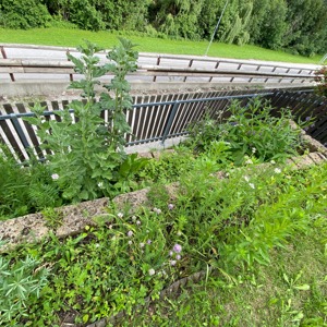 Private holiday flat